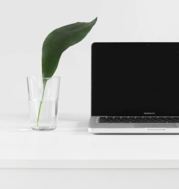 Sustainabile Business Strategy